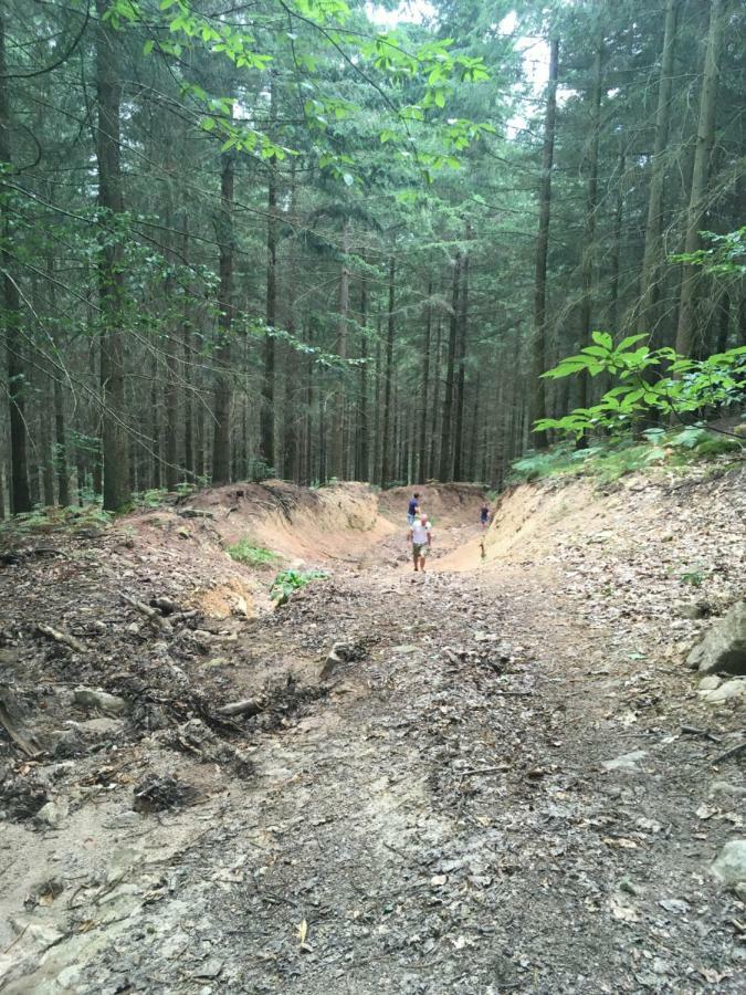 Foret Enchantee De Bourgogne La Celle-En-Morvan Kültér fotó
